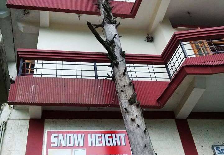 Snow Height Appartments, Mcleodganj 1